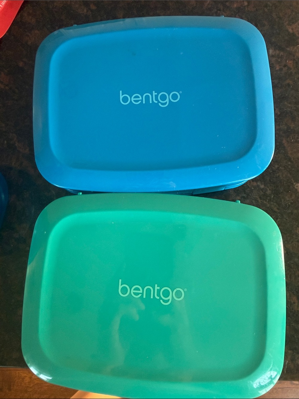 Storage Container (Bentgo)